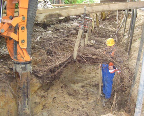 Referenz Baum- und Wurzelsanierung - TUR Saugbaggerdienst GmbH Referenz Baum- und Wurzelsanierung - TUR Saugbaggerdienst GmbH